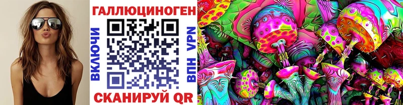 Псилоцибиновые грибы Psilocybe Омск
