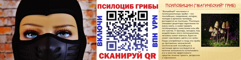 Галлюциногенные грибы Magic Shrooms  где купить наркоту  ссылка на мегу ссылка  Омск 